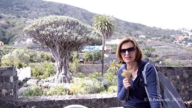 Тенерифе (зима). День первый (Пуэрто-де-ла-Крус)