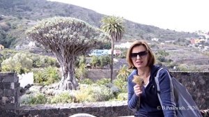 Тенерифе (зима). День первый