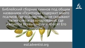 5 ноября 2025. Блажен, кто надеется. Под сенью благодати. Адвентисты