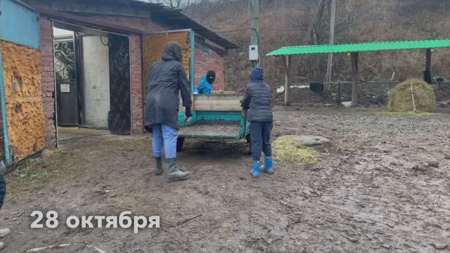 Дневник конных сборов — 28 октября