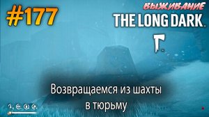 Возвращаемся из шахты в тюрьму | The Long Dark #177