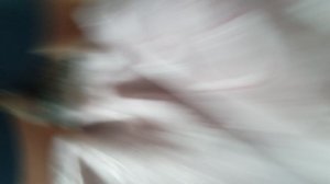 камера ви-ви-ви