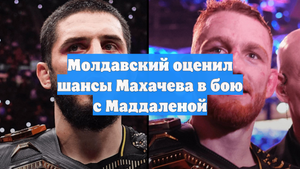Молдавский оценил шансы Махачева в бою с Маддаленой