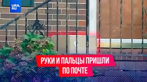 Конечности с доставкой на дом