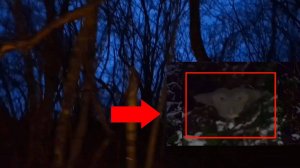 Самые страшные видео с мифическими существами снятые на камеру