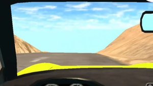 Профессиональный водитель