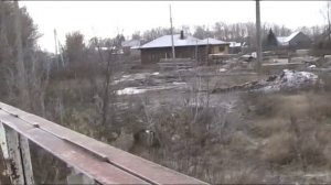 Прогулка по городу