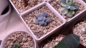 Безумные изменения в коллекции