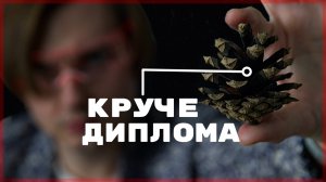 Диплом мертв: что нужно вместо него в 2025 году