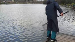 Поимка на актив