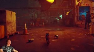 Вселенная Дмитрия: Stray (6) уличный кот