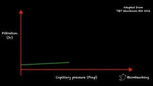 Fluids in the wrong place - from Guyton to the glycocalyx  Ashley Miller 2022