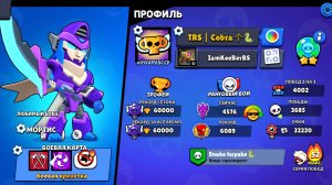 Я апнул 60к кубков, создал твинк, где Шелли 1000🏆 на 1 силе + новый проект скоро...