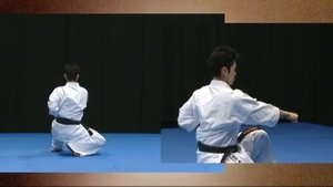 Kata Karate Kyokushinkai ( Ката Карате Киокушинкай ) часть 2