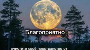СУПЕРЛУНИЕ 5 НОЯБРЯ. Куда вы измените свою жизнь?
