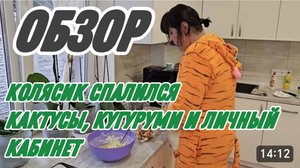 САМВЕЛ АДАМЯН, ФУРОР СВЕТЛАНКИ НА ЮТУБЕ, КАКТУС В ИТАЛИЮ, ПАЛЬМУ В КАБИНЕТ, АНДРЮХА ТАЙНО ЕСТ БУЛКИ.