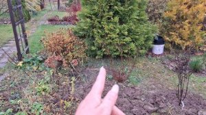 С посадками в этом году закончила. Обскакала миллиоников)))