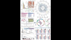 Как модель 2А раскрыла неравномерный возраст органов и нашла кандидаты в лекарства против старости