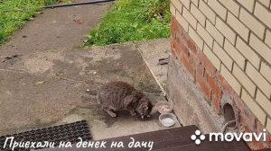 Приехали на денек, сменить колеса.