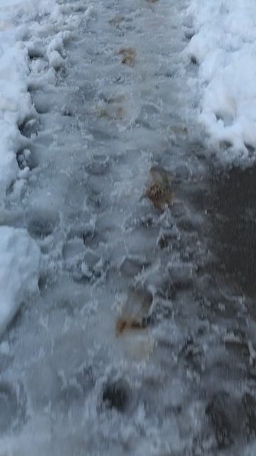 №347. ул. Газеты Звезда. 29 апреля 2025 г., 20:28:02. VID_20250429_202641684