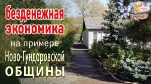 Безденежная экономика на примере Ново-Гундоровской общины