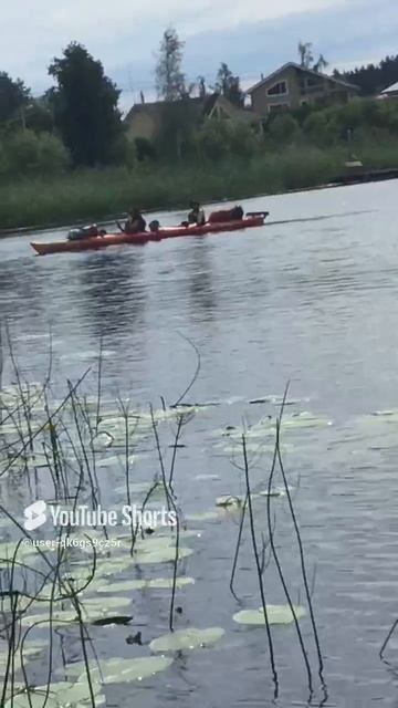 Ленобласть. Хвойное. 11.07.2024. Водный туризм-байдарки. Река Вуокса, через малый порог