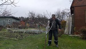 Дача. Закрытие садово-огородного сезона в День мужика и единения.