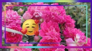 Туган көнең белән сине,Туганым!С Днём Рождения!Музыкальная открытка на татарском языке.