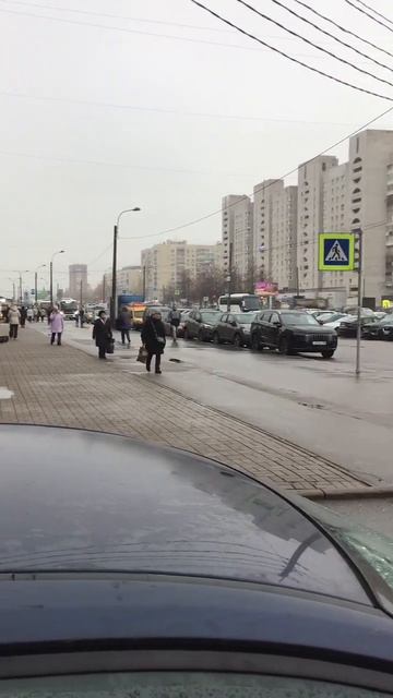 Санкт-Петербург. 04.11.2025.  Последний месяц осени, проспект Энгельса. Эпизод 2