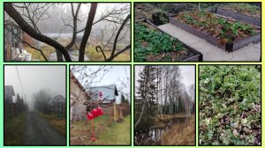 НОЯБРЬ НАЧАЛСЯ С ТУМАНА, ПЫТАЕМСЯ ЗАКРЫТЬ СЕЗОН 55/2025