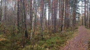 Усольцевы. Тайна корги Лады. Кармический портал в местах силы или роковая ошибка.