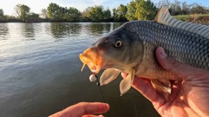 Рыбалка в ноябре 2025 на карася и карпа