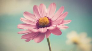 150x2 #Быстрые-перемены #музыка #видеоклип #рекомендации