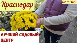 Краснодар Лучший садовый центр(02.11.2025)