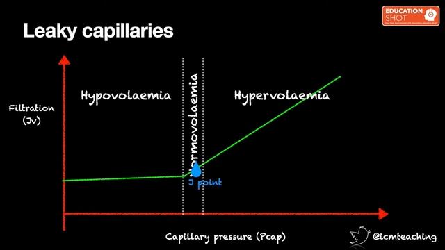 Microcirculation  Ashley Miller 2022