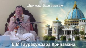 04.11.2025 || Шримад Бхагаватам 11.3.25 || Е.М. Гаурасундара Крипамайа дас