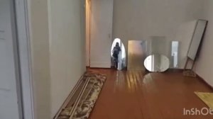 цыбульская