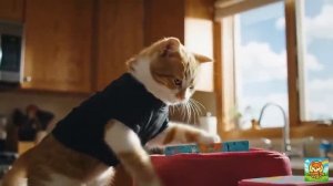 МУЛЬТФИЛЬМ ДЛЯ ДЕТЕЙ, Семья пасет коров, собирает кукурузу и жарят её на костре