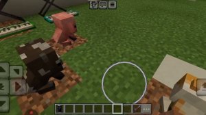 на дом обзор