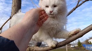 04-11-2025 Жизнь в деревне 🏠.Хроника дня.