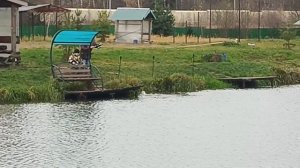 На основном