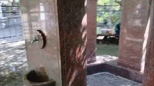 Источник минеральной воды. Ялта