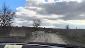 Чё _ КУПИЛИ?. Съездили к ПЧЕЛАМ!. ВКУСНЯШКИ)!.