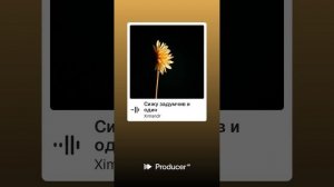 Сижу задумчив и один