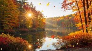 🍂 ОСЕННЯЯ РАССЛАБЛЯЮЩАЯ МУЗЫКА ДЛЯ ДУШИ СЛУШАТЬ БЕСПЛАТНО 🎵 УСПОКАИВАЮЩАЯ МУЗЫКА ДЛЯ СНА