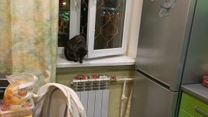 Ставлю запеканку в духовку. Камбала готова!