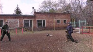 Серое братство - 2. Викинг Из Тигровой Династии