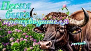 Песня быка производителя
