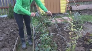 6 соток 29 октября 2025 года. 2 часть.