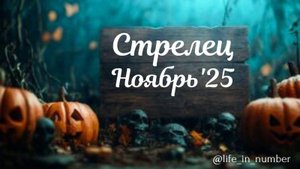 СТРЕЛЕЦ ♐ НОЯБРЬ 2025
